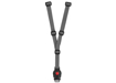 Polisport Cinturino Bilby